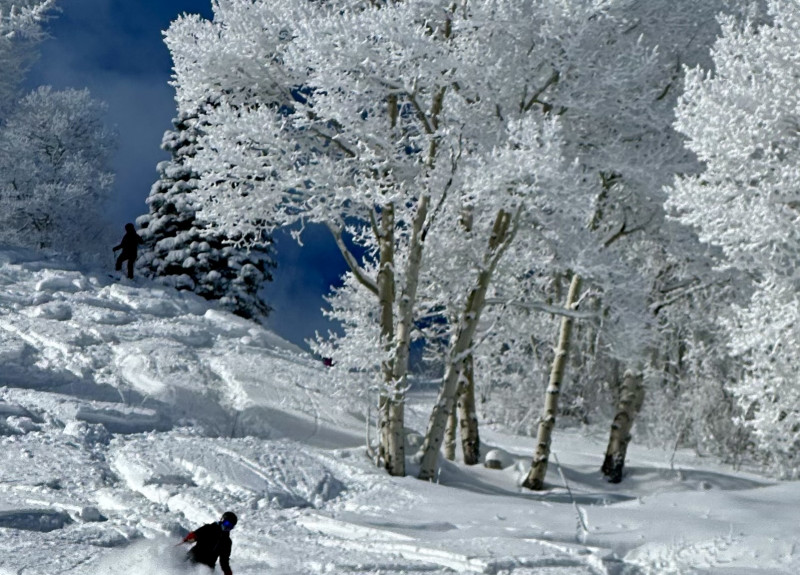 Skiing on Aspen Mountain minutes from Tyrolean Lodge