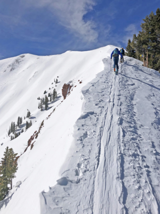 aspen-bowl-ridge