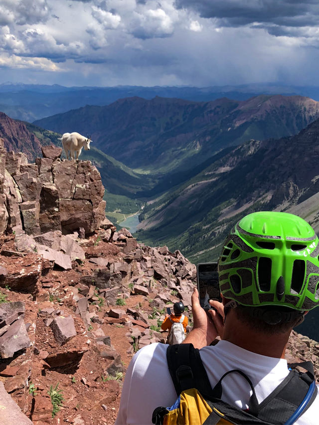 Mountain goat sentinels on North Maroon Peak