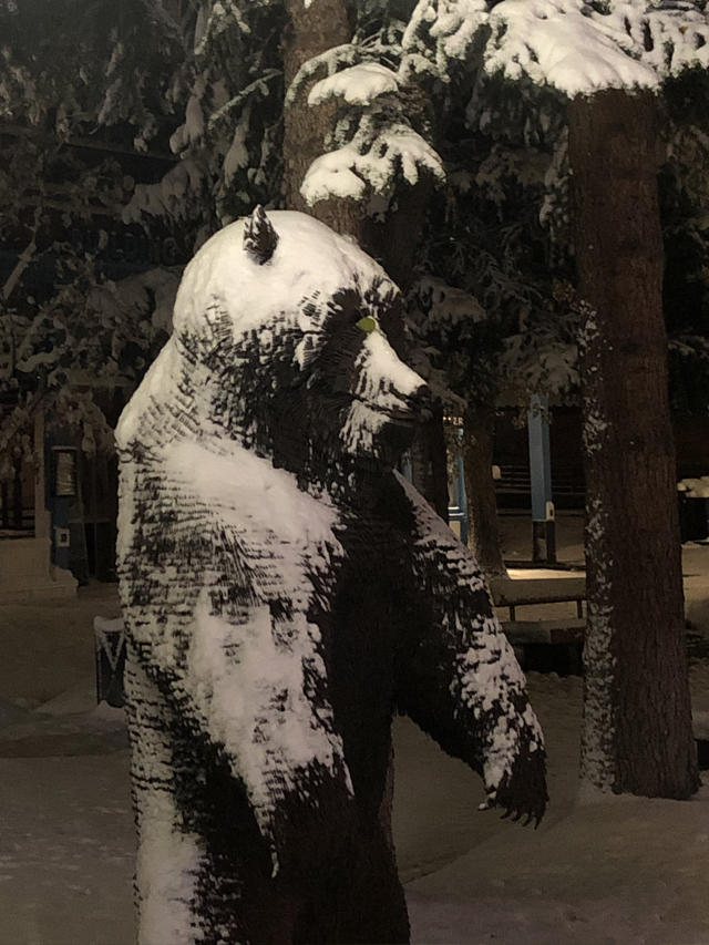Aspen town's epic nail bear sculpture withstands the snow