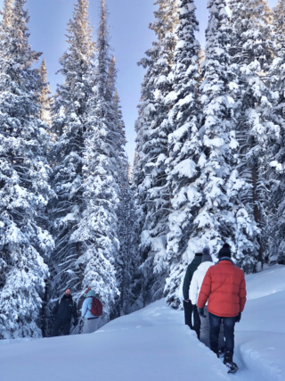 aspen-snowshoe