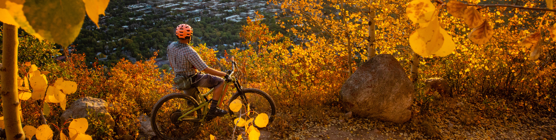 Golden Aspen foliage sets the mood for fall mountain biking