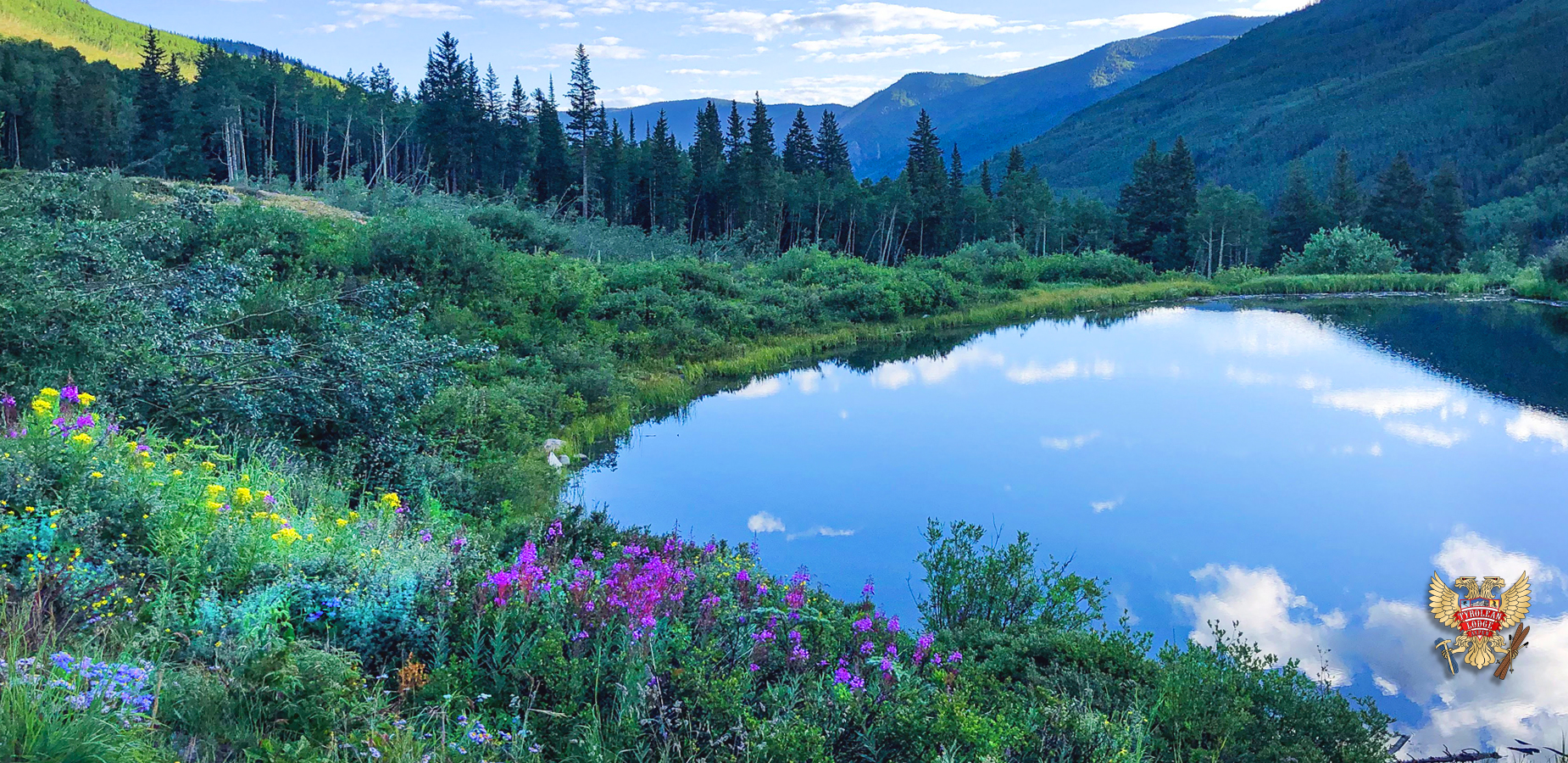 spring-castle-creek-valley