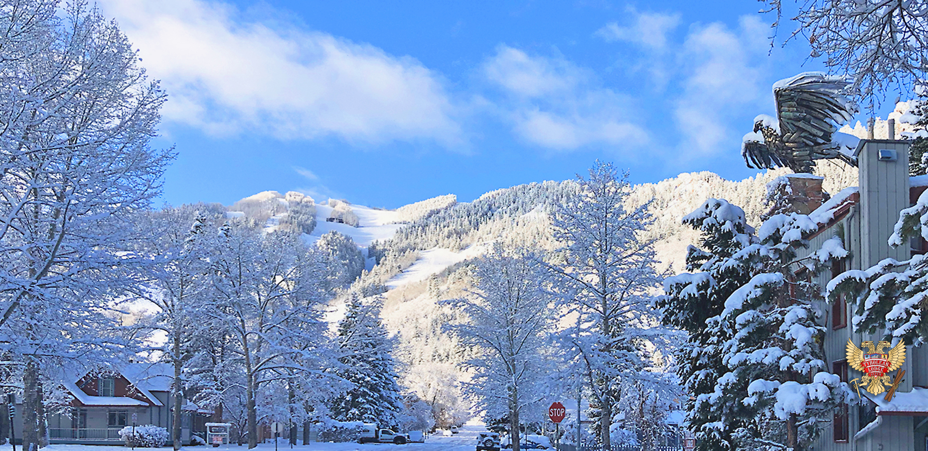 spring-snow-bluebird-tyrolean-ajax