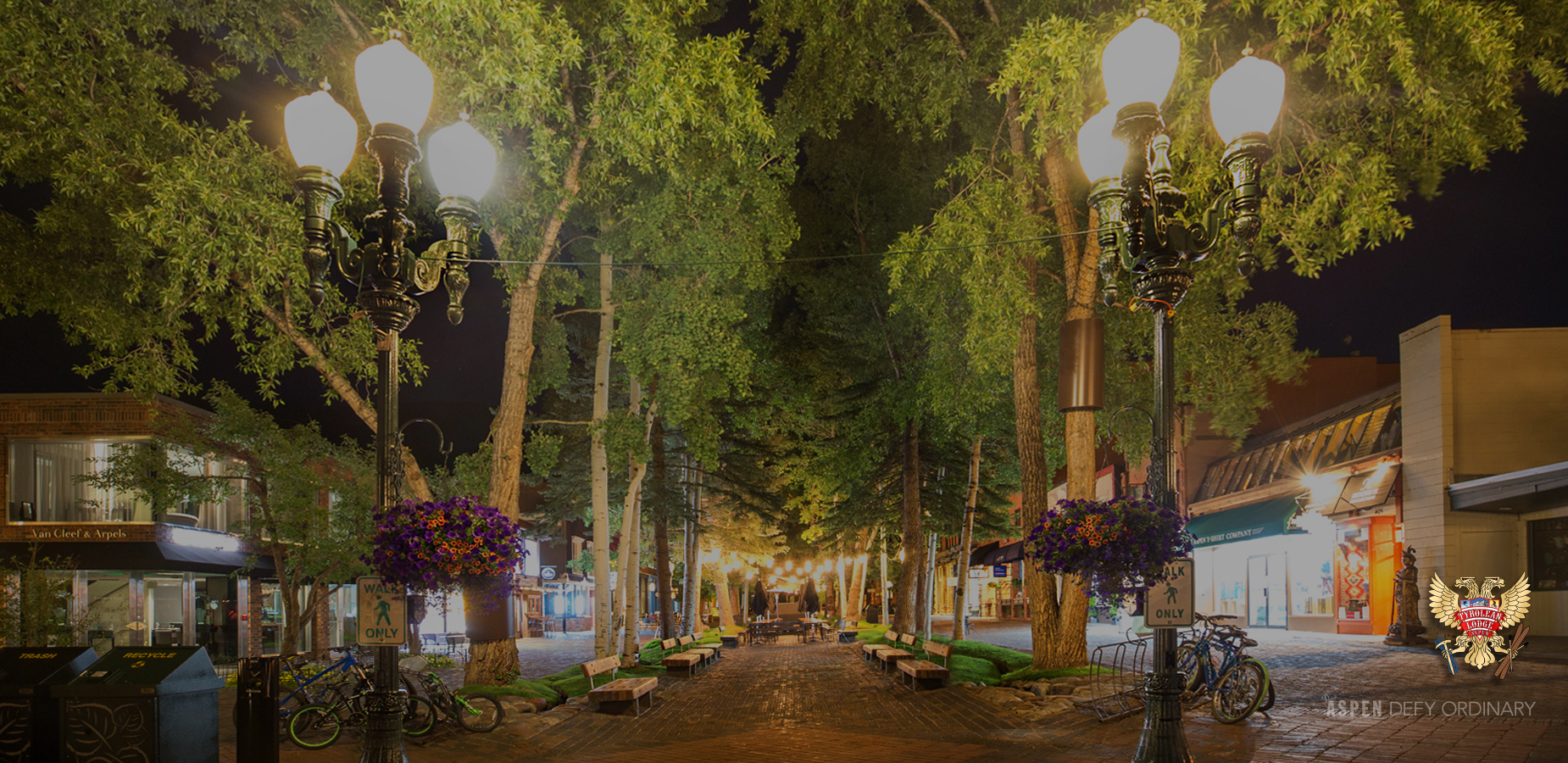 Undertrees lit up at night in Aspen's pedestrian mall