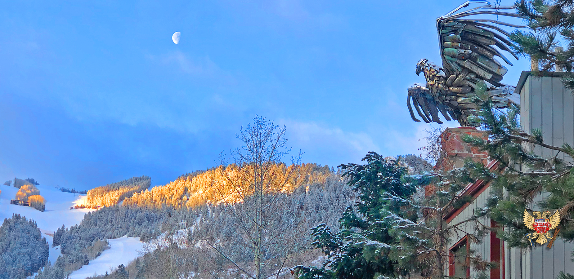Lou Willie's chrome bumper eagle stares down the moon over Ajax mountain
