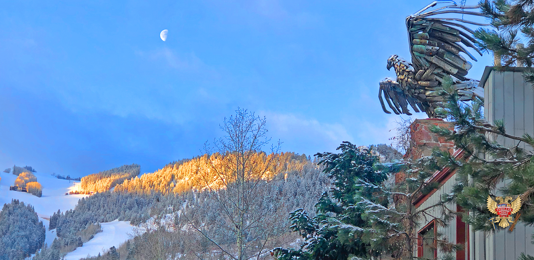 winter-moon-rise