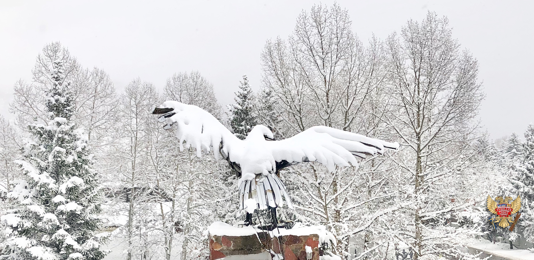 A blanket of snow on the sentinel eagle signifies the return of winter